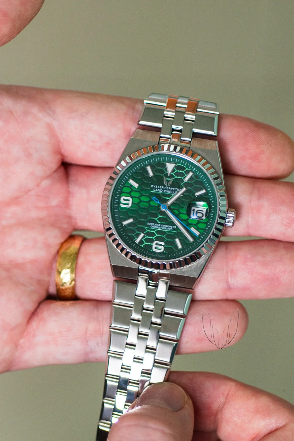 Custom Land-Dweller Green - Image 4